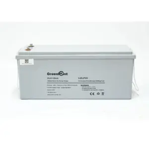Batería de Litio 24V 120Ah GreenPoint