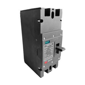 DC Moulded Breaker PROJOY 2P (500V) 160A
